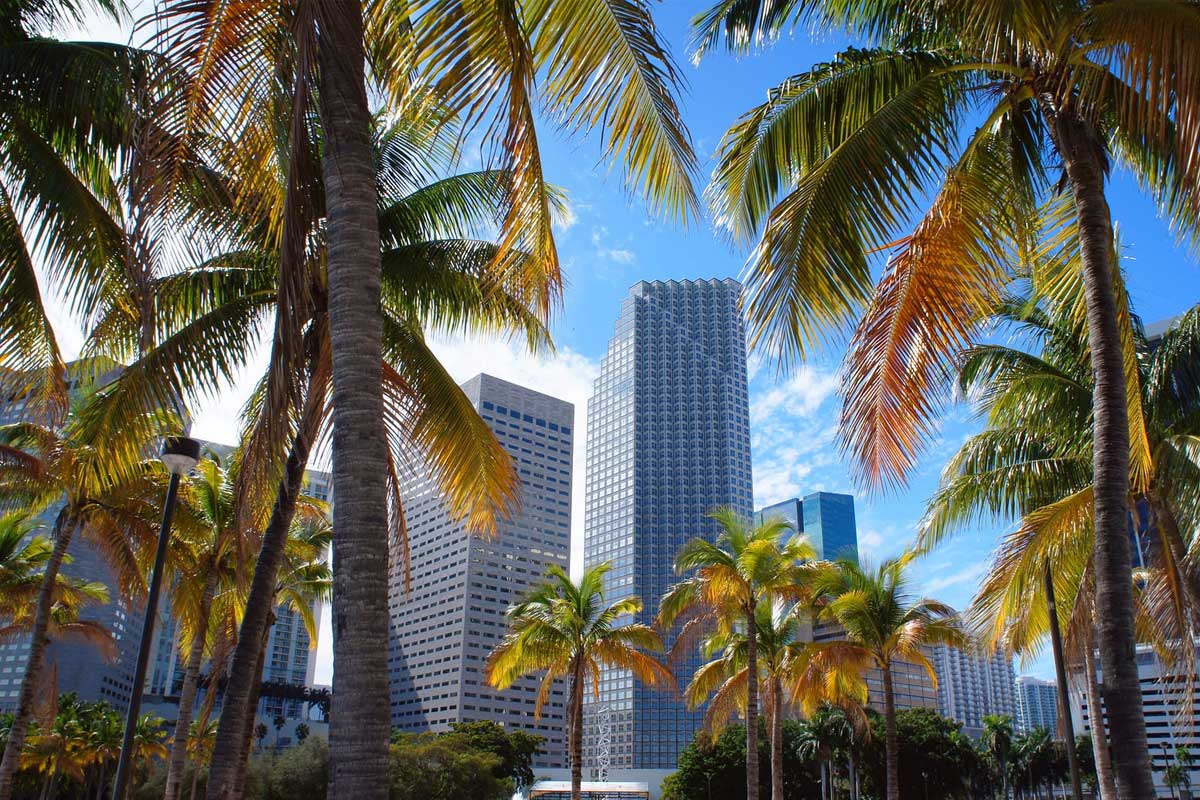36 Lugares Que Visitar En Miami Este 2022 Mapa