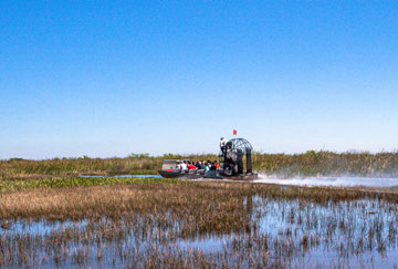 Actividades Everglades: paseos en bote, trekking