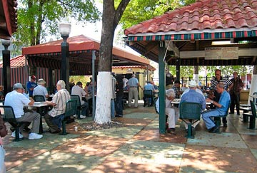 turismo Little Havana, Domino Park